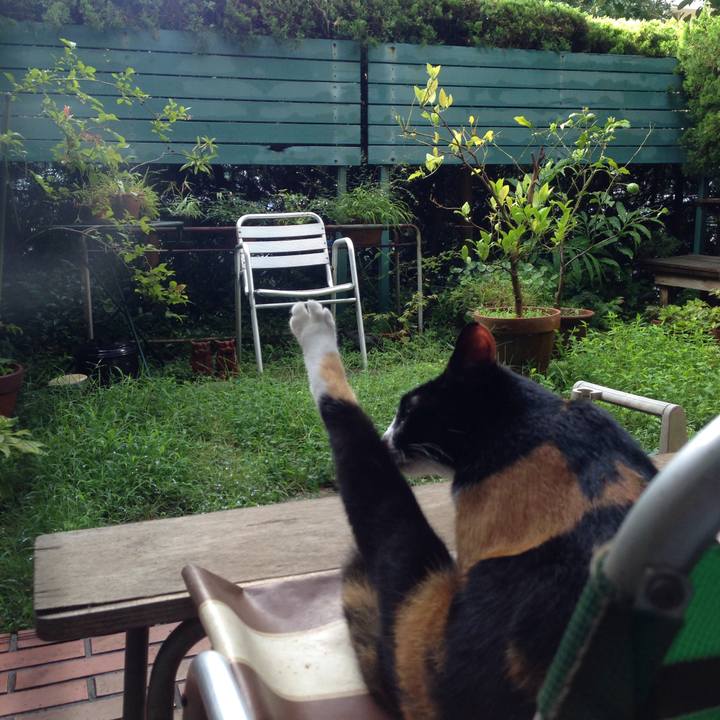 6757e6f9 cdff 4850 a982 ae7e5b7a202f