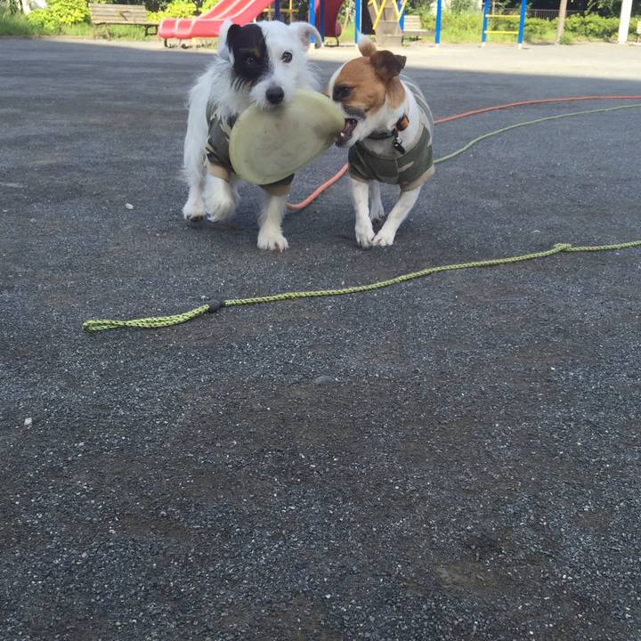 67585e67 2190 40ca a164 14abde4b4f09