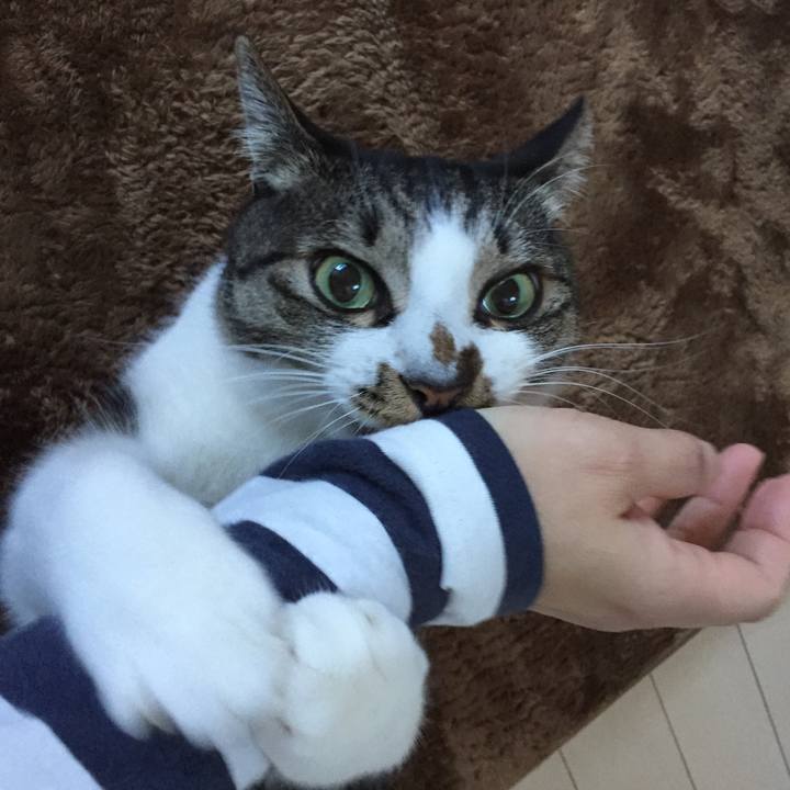 67586af9 9248 473f 8666 4712a672e440