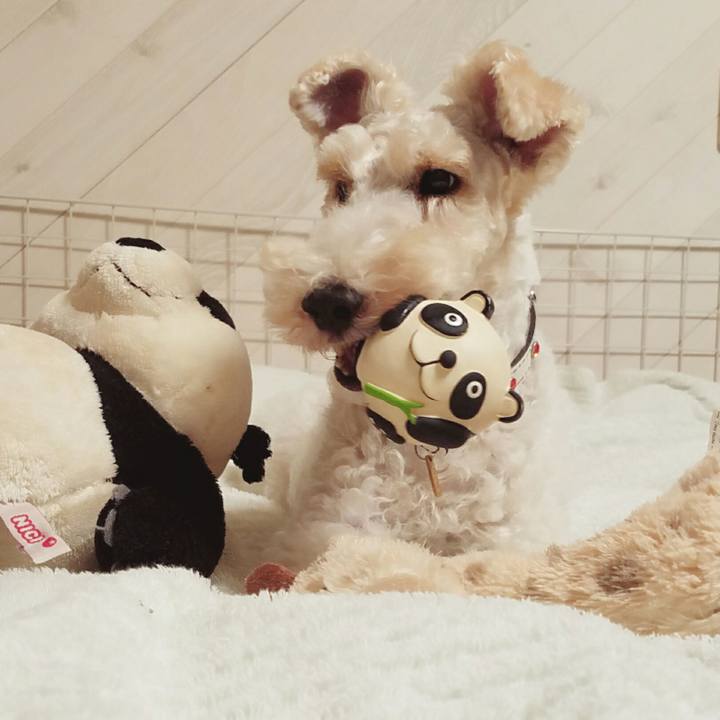 67595204 08c5 46ca ba63 9a4d65957b34