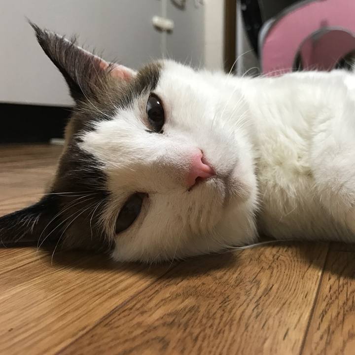 67597efe bc6b 49fb 9415 2223d0dcbeb2