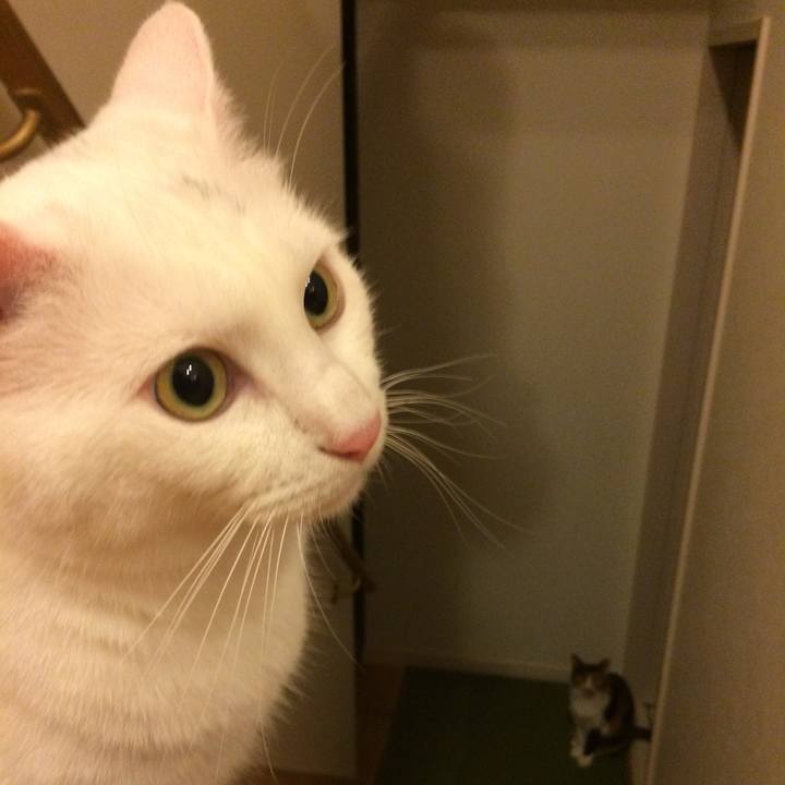 675a0545 fc75 472e 8a56 0be279ae5201