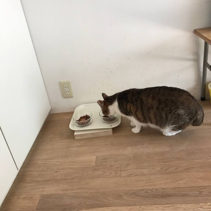 675a1a3c c889 499c be8a 72a2d23c7a06