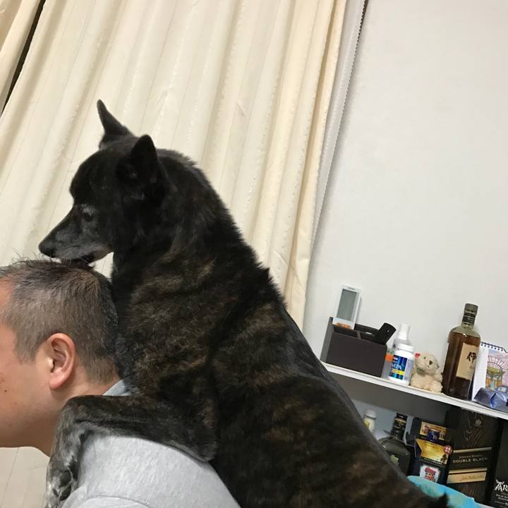 675a68b6 568e 44e2 bf6b e15e4a14b3a0