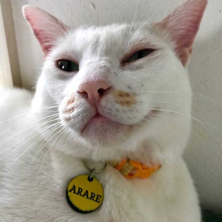 675ab0cc 0b8e 4c43 9fae e6255926389e