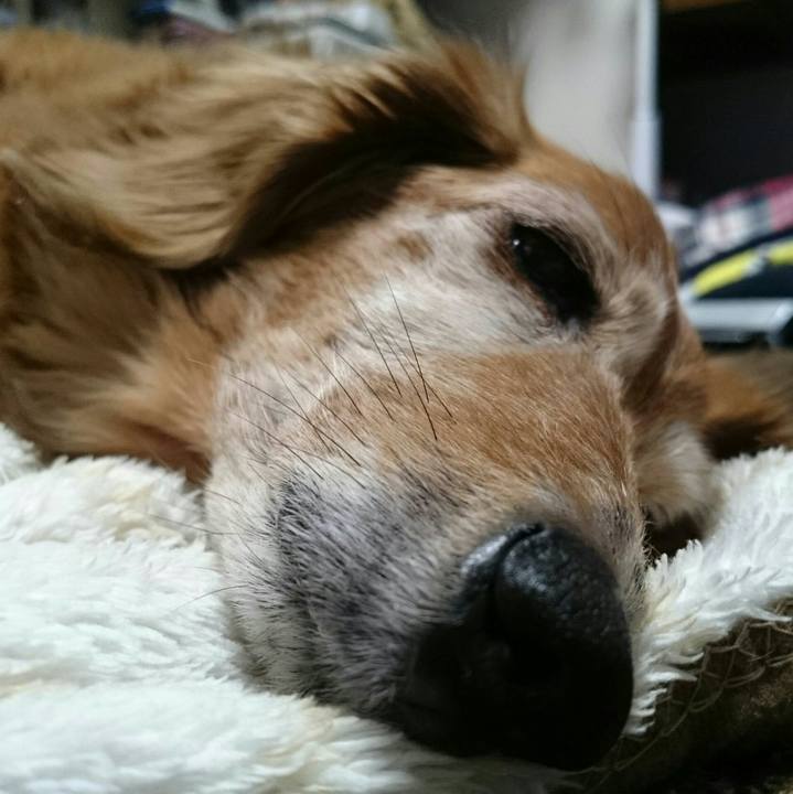 675b31d2 bbd3 4d3e 933d 6c665c96ad36