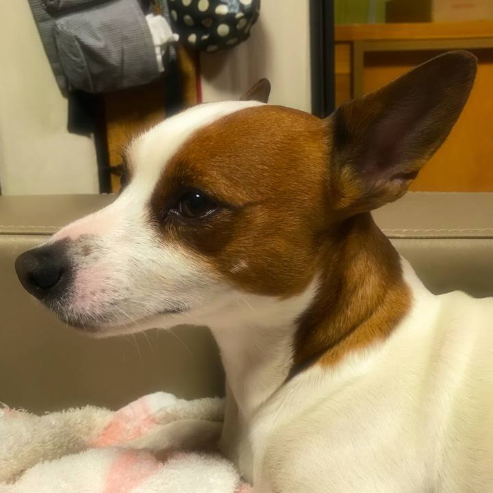 675c6d38 6e39 477c 8c9e 7d3cafd746e9