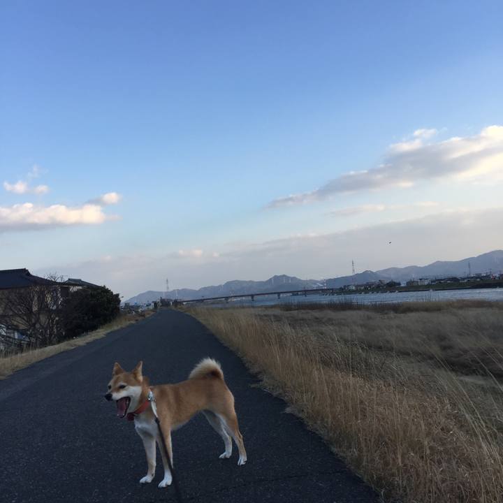 675ca0bb 0fed 4f86 9796 6b9af8e2785f