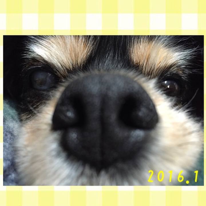 675ca412 1eaa 4ef5 b504 64b680993e20