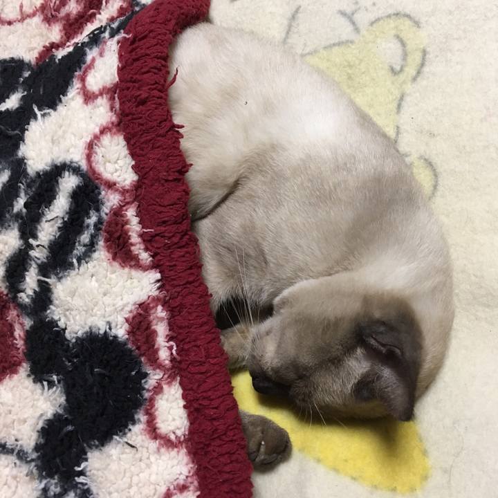 675cf324 4f7d 4849 9c2a 1417df532b70