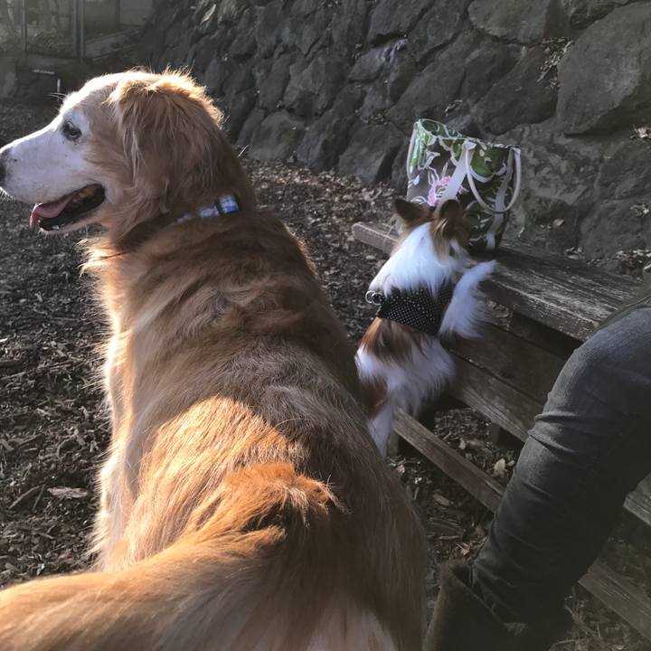 675cf974 9aab 4efb 9458 64ce2cc26d7a