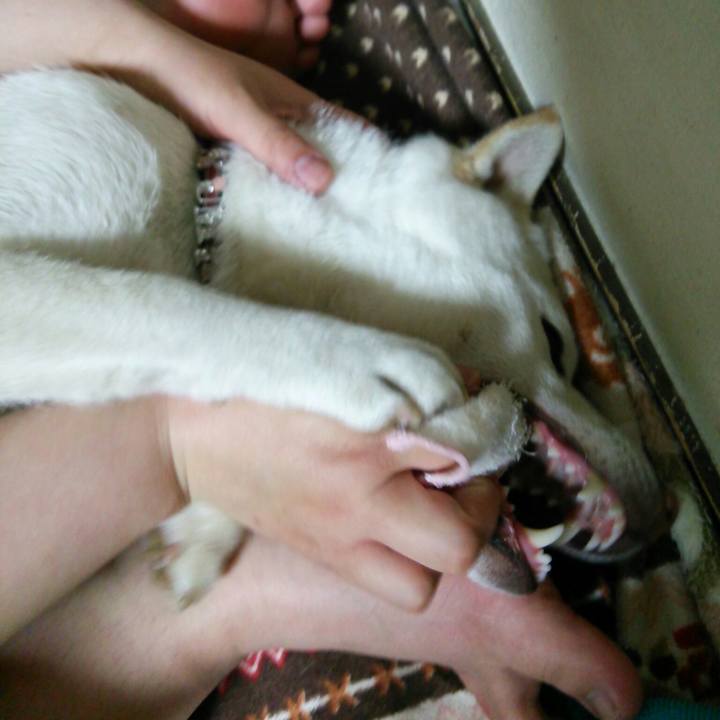 675d9910 0517 4be7 9eb5 aeab9aaa0575