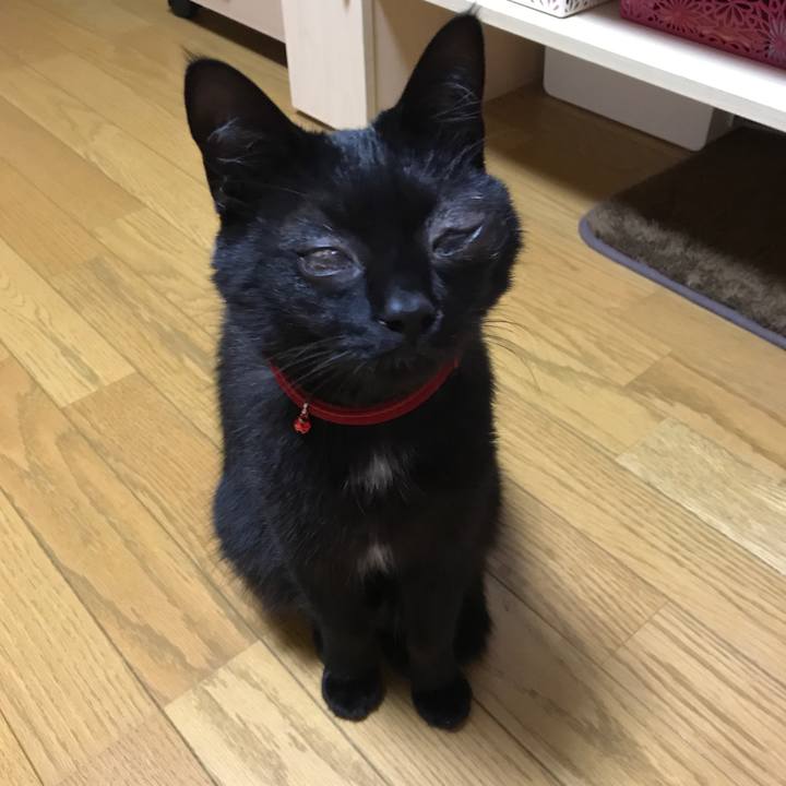 675dd423 3718 4df3 9473 e9720f37ef42