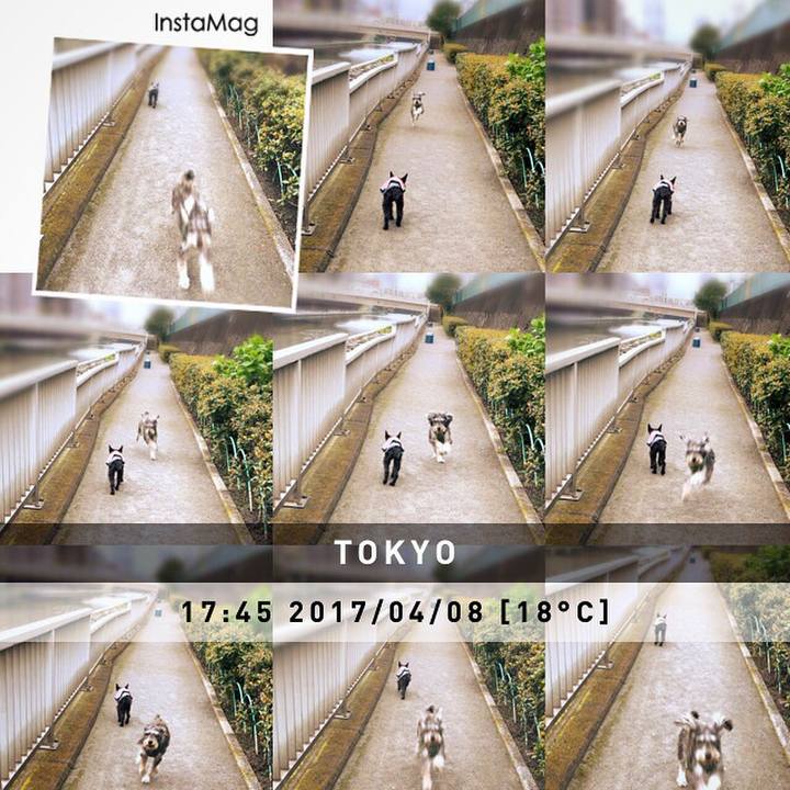 675e60a0 4530 4de9 bd37 33fc98904529