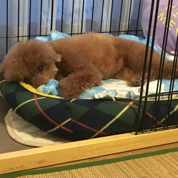 675e96c2 b07f 4f4f 92b5 ab9fc604f019