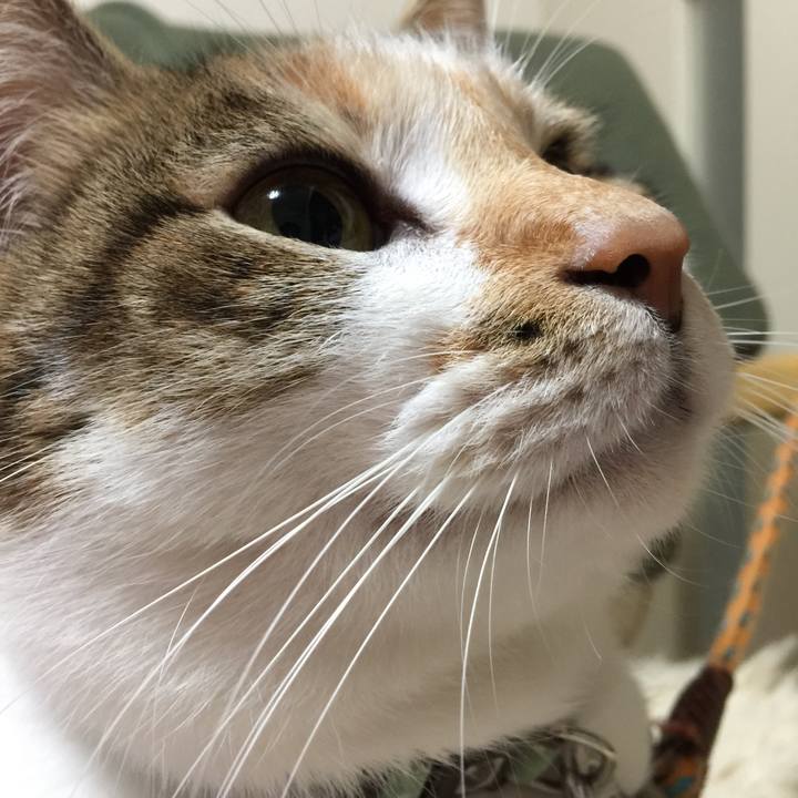 675ea15c c67f 4fb0 8391 4331e3c19939