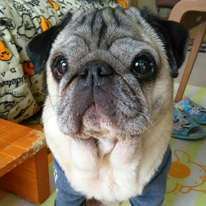 675f2081 f82f 4e44 aa33 924a64743a91