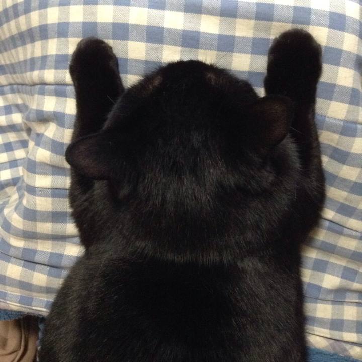 67600661 d40c 417b bcdd 4921da12e9a1