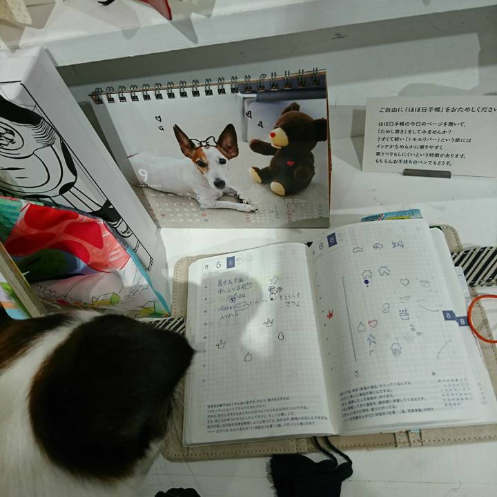 676017ee 58bc 4515 807b 7a59ca3a60b0