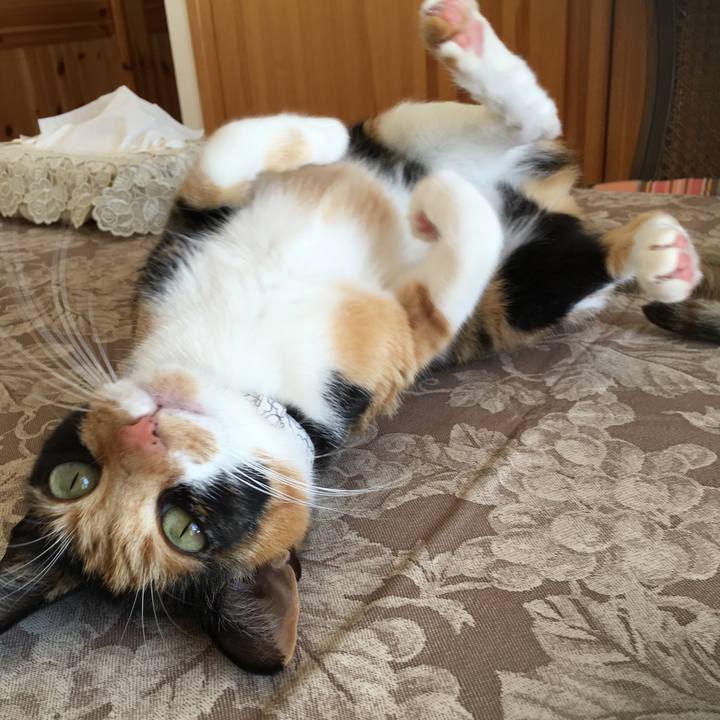 67603f02 341b 4abb be09 4b37444f82ad