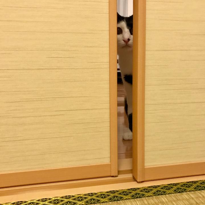 676145f3 87d4 4e10 b190 e20b0e699ed7