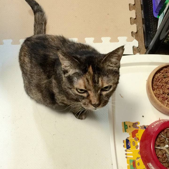 67617cbb 3921 4232 826f bbfd21c7f3af