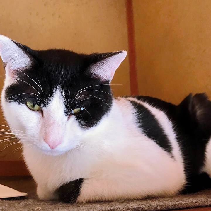 67619195 3a7b 4646 a42c 38d78b8bc062