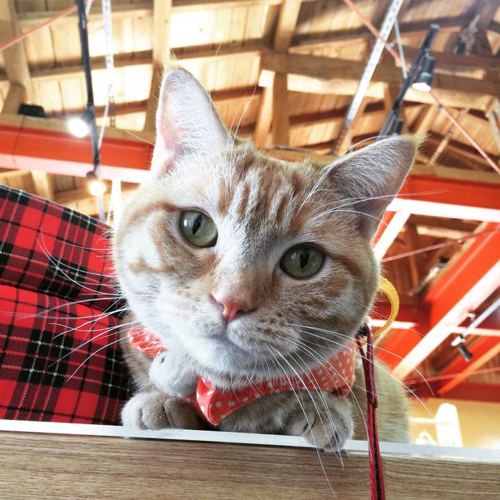 6761bbef 9641 4012 bec1 81b1fbbe3323