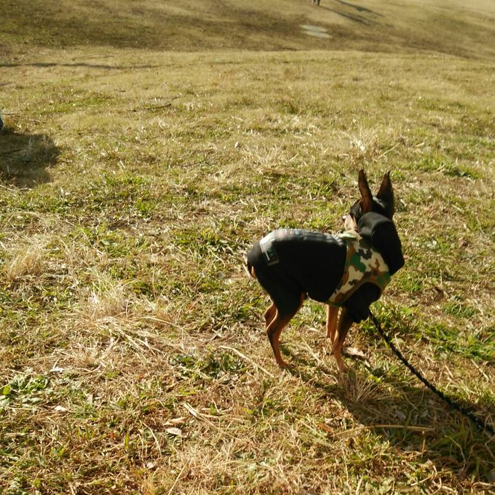 676222ce 7a5e 4230 9a29 6153861493ec