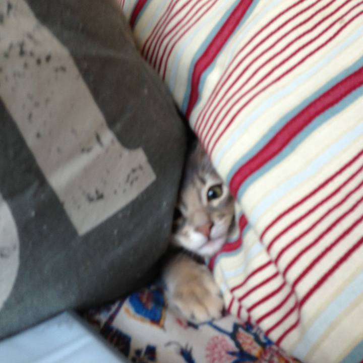 67622ec9 7ef1 4593 8d84 94207e807976