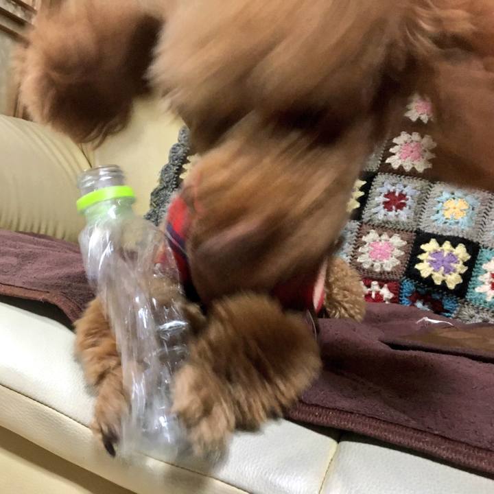 67623e84 306f 404d bce7 3691d7376395