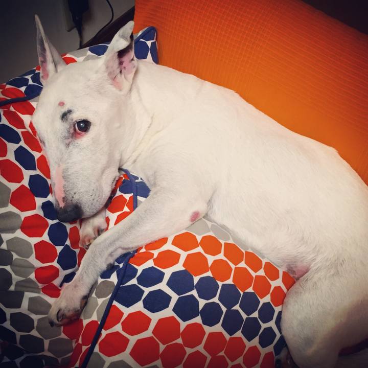 67627226 9fef 432b b0cf aa6b02c9dadc