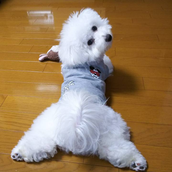 6762bebb b84b 460b a777 e1a2e26eb7cd