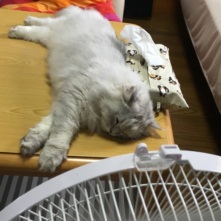 67631f03 8bbb 4be7 88e2 e64c8b05a027