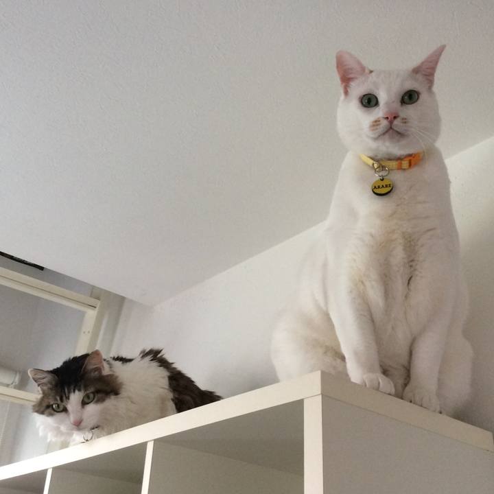 67632fb9 945b 43f0 9683 21256efce4e1