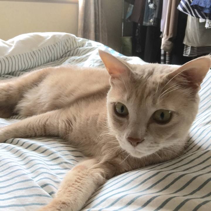 676371d6 25dd 49ca a1c4 975dad20c71c