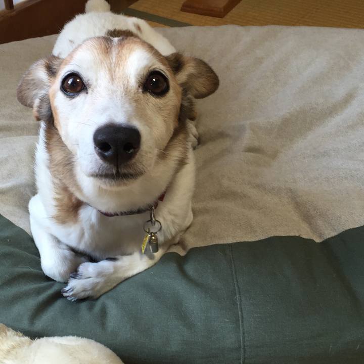 6763a35b 38d5 49dc a264 70f327f592a2