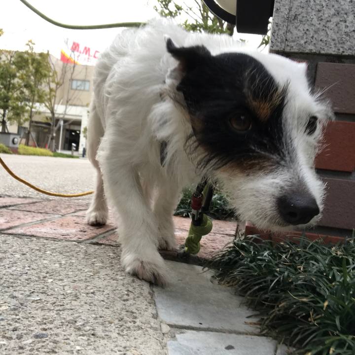 6763d1b5 5003 4a1a 88a4 235ac78f43dc