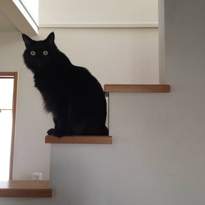 6763ecca 5c3a 4716 a8d2 fb71f6dcf0d4