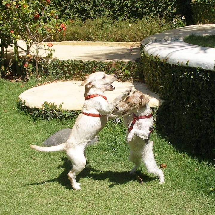 67640d06 2381 4dc4 8229 3a758b05ae5c