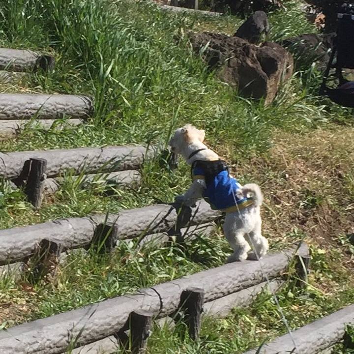 676485e5 f94b 4263 96fc 906bb567d977