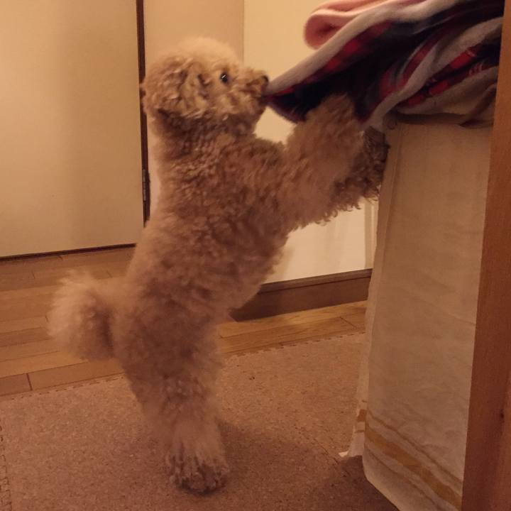 6764b628 8506 41ec 8d71 aca531d2eaab