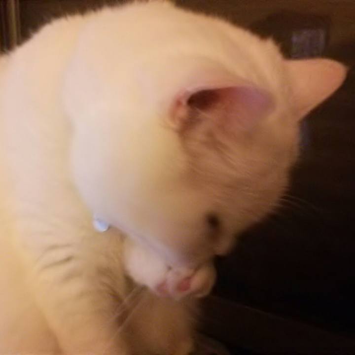 6764bf30 018a 4347 99a0 ea8dfebb40f4