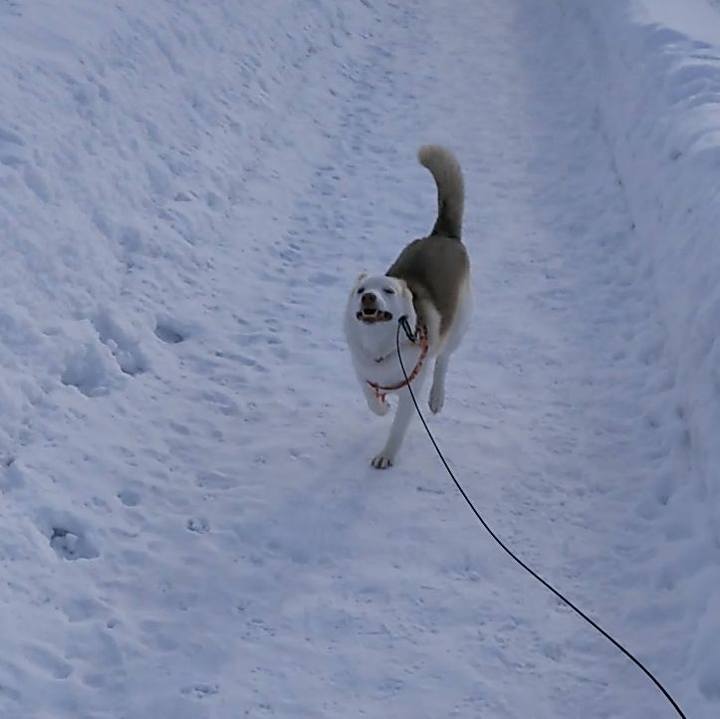 6764cd92 c8a0 41a0 9a9f db3606139f92