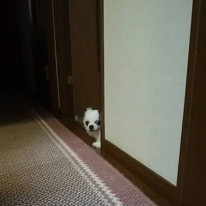 6764db96 e2dc 4d9d a3b8 e8348d9cdadf