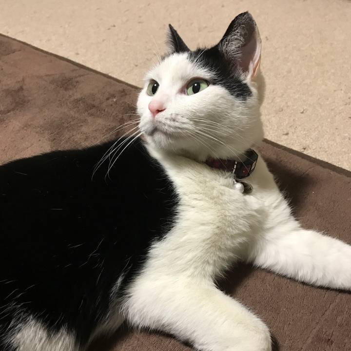 6765f169 a3e8 4c4d b4d0 47f10a0fe9eb