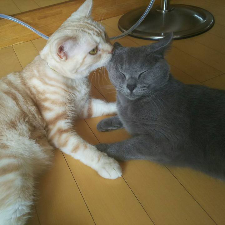 6766164e 1361 41c8 a87d 2c3a2ba34493