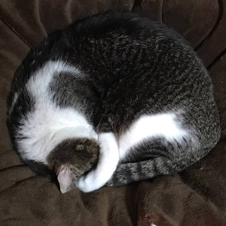 6766b520 e21b 49c7 90e9 572da80e98ab