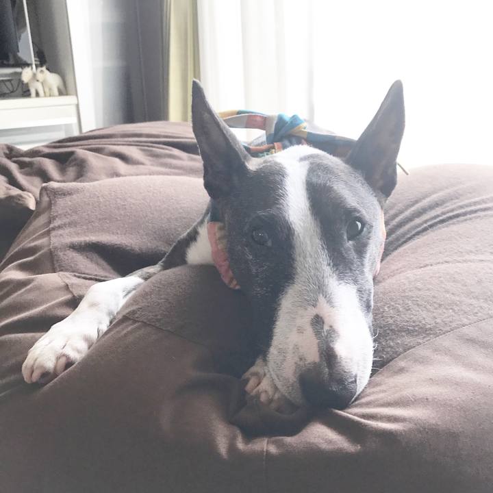 676731c7 a6d5 4262 8acd 4228821ab0b2