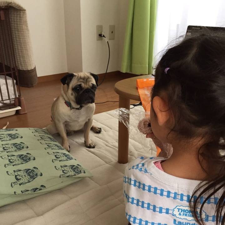 67678d15 a972 47a5 a8fd 382c7f5d2666